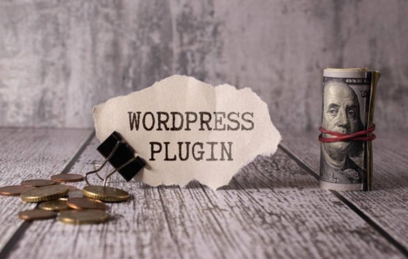 apa itu plugin website